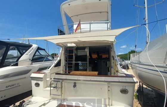 Sea Ray 340 Fly