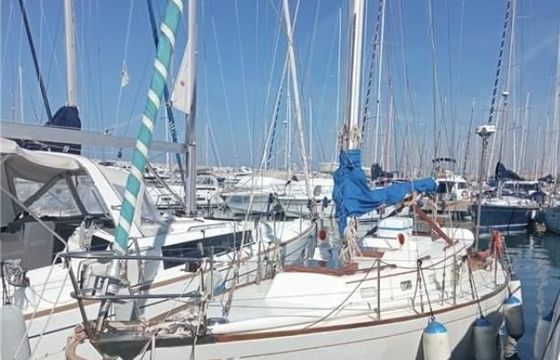 Le Comte Northeast 38