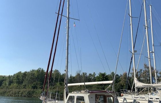Colin Archer Danish Rose 34