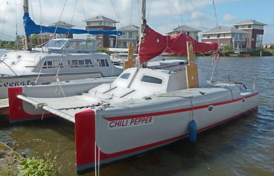 Woods Wizard Catamaran