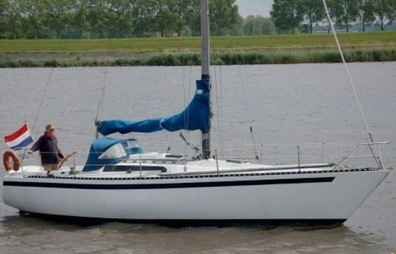 Kalik 33