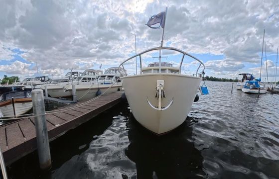 Linskens Catfish 46