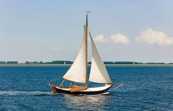 Schokker 1600