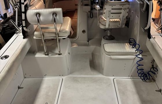 Worldcat Glacier Bay Isle Runner 2270