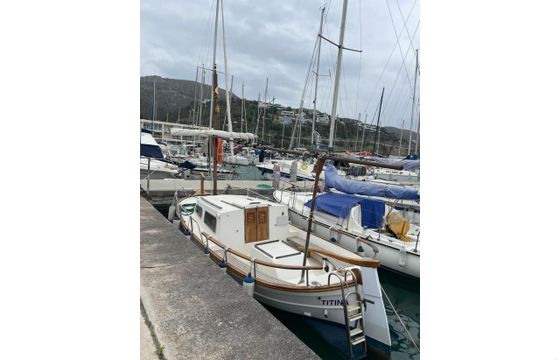 Knort 6m