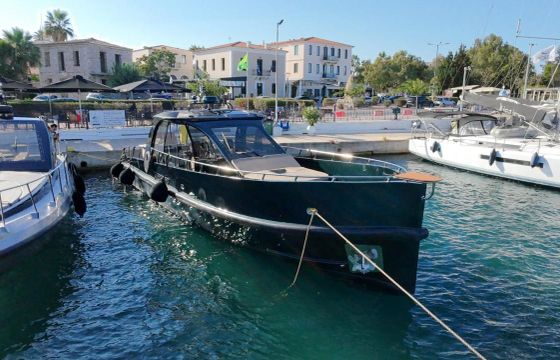Dasyc 52