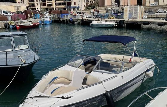 Four Winns 220 Horizon