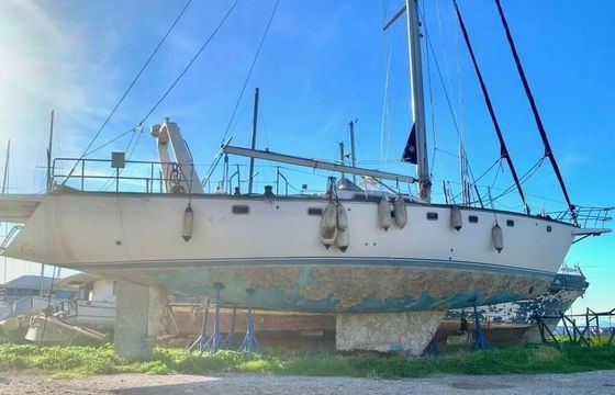 Atlantic 61