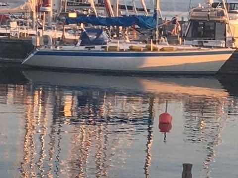 Wauquiez Centurion 38