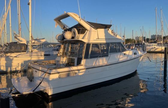 Bayliner 3288 Flybridge