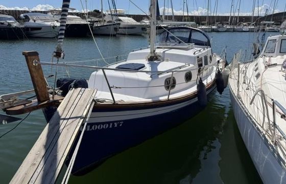 Delfín 28