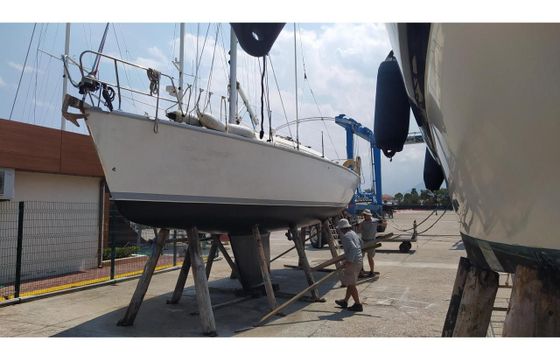 Moody S31 Excel