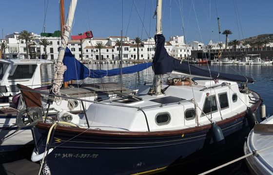 Myabca Delfín 28