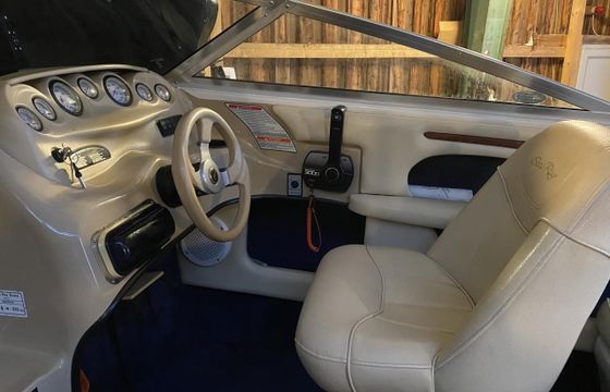 Sea Ray 190 Daycruiser