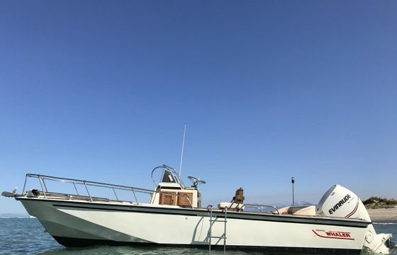 Boston Whaler Outrage 22