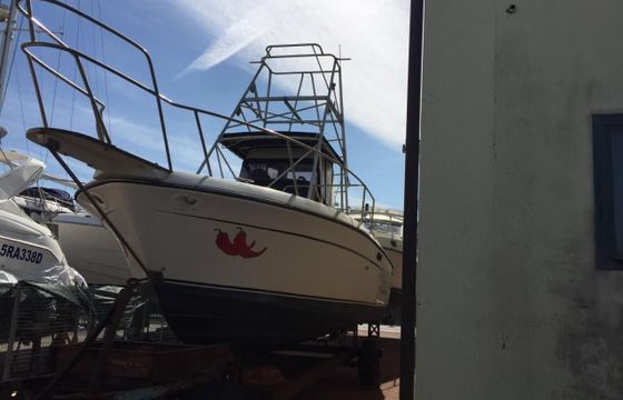 Robalo 26 Cavin Walkaround