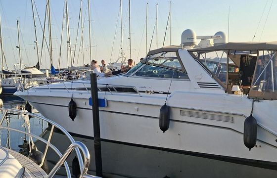 Sea Ray 500