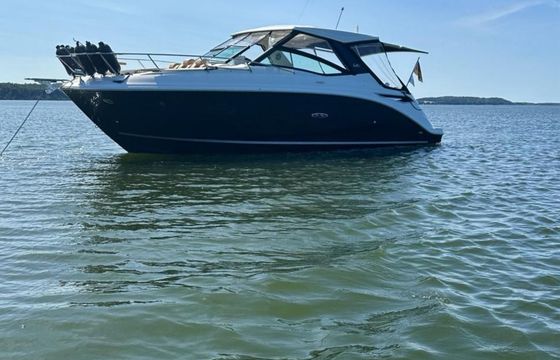 Sea Ray Sundancer 320 DAE