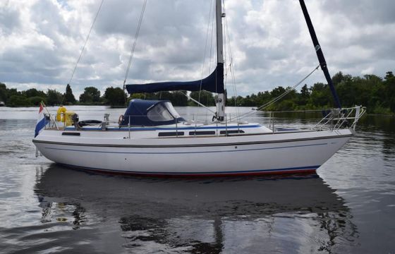 Storebro 33 Royal