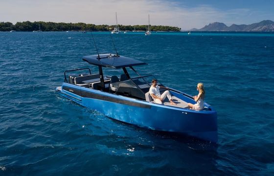 Virtue V10