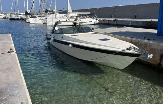 Cigala & Bertinetti Shark 43