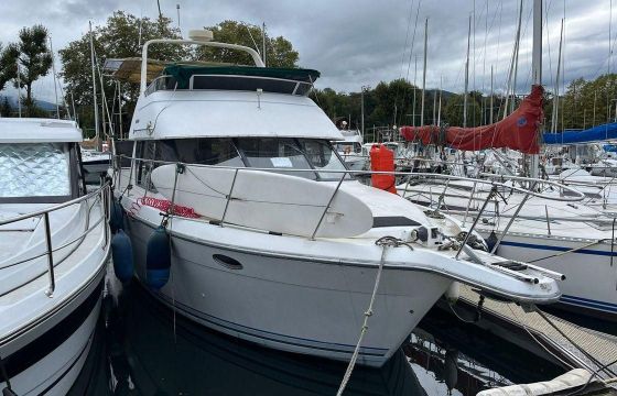 Carver 33
