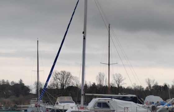 Tortuga 27