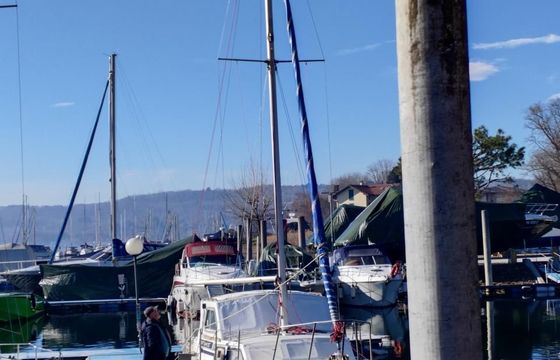 Tortuga 27