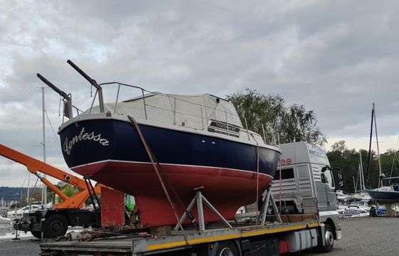 Tortuga 27