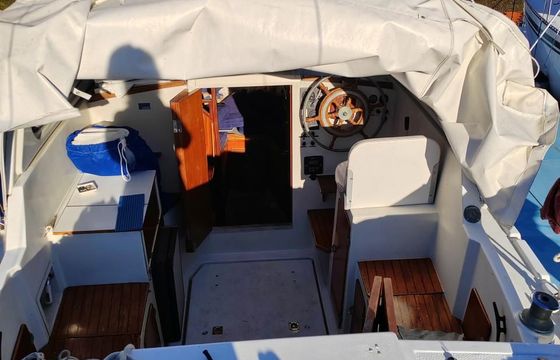 Tortuga 27