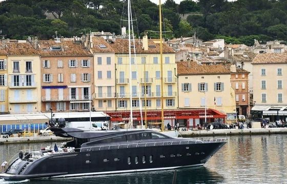 Arno Leopard 31