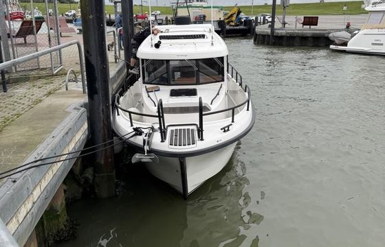 Sargo 31 Offshore