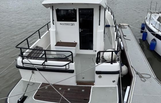 Sargo 31 Offshore