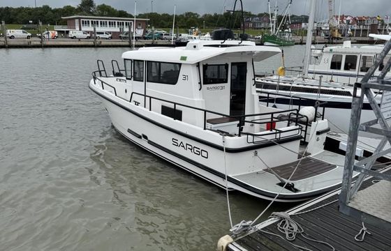 Sargo 31 Offshore
