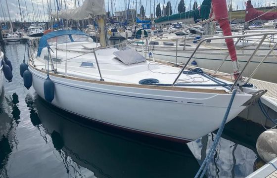 Camper & Nicholsons 31