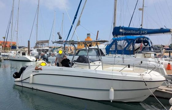 Quicksilver Activ 805 Pro Fish