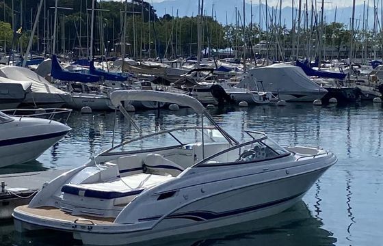 Formula 240 BR
