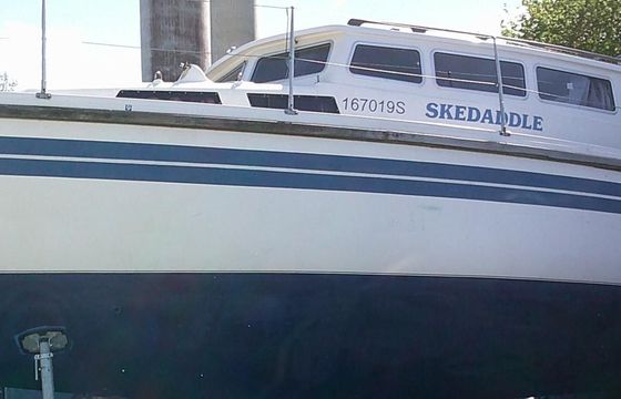 Sirius 31 DS