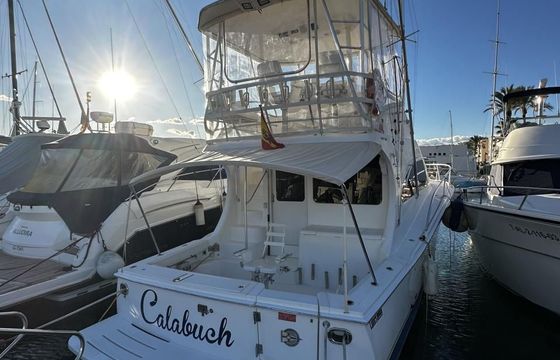 Luhrs 41 Convertible