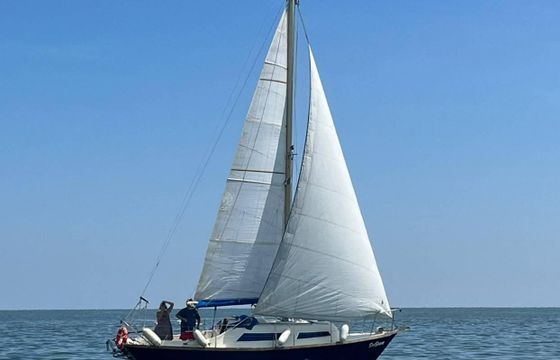 Hurley 27
