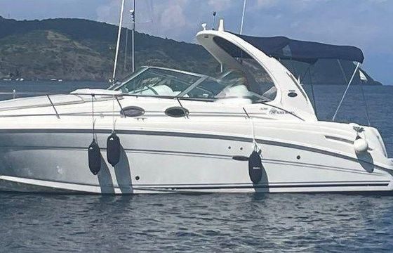 Sea Ray 335 DA