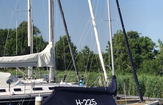 Draak H-225