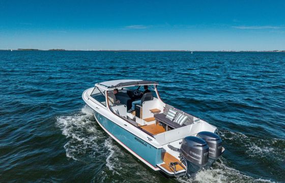 Bertram 25