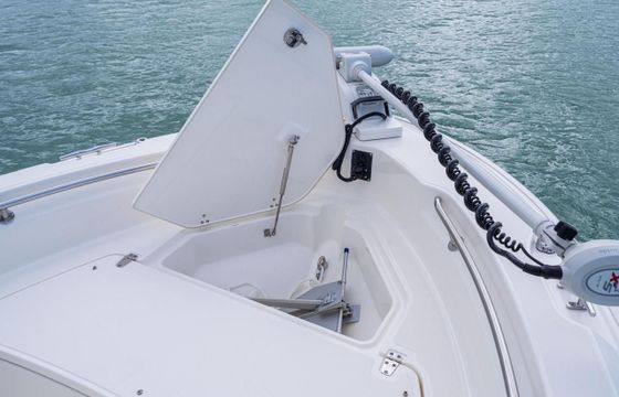 Boston Whaler 220 Dauntless