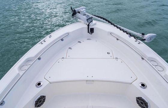 Boston Whaler 220 Dauntless
