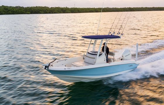 Boston Whaler 220 Dauntless