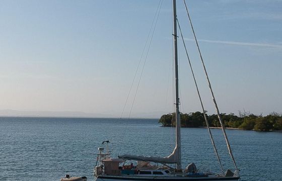 Sandmeier 43