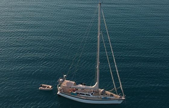 Sandmeier 43