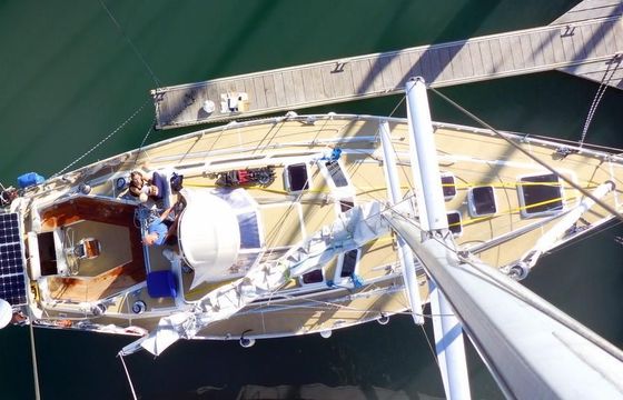Sandmeier 43