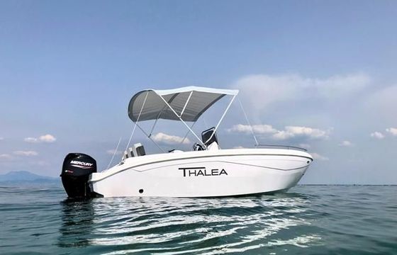 Thalea 19,5